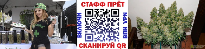 Где найти наркотики Питкяранта Бошки Шишки  APVP  ГАШИШ  МЕФ  COCAIN 