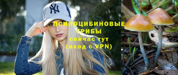 первитин Абаза