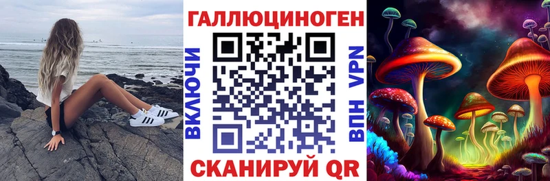 кракен как зайти  Питкяранта  Галлюциногенные грибы мицелий  хочу  